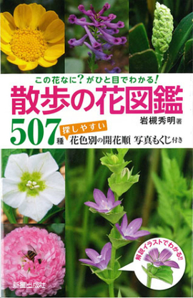 この花なに がひと目でわかる 散歩の花図鑑 岩槻秀明 著 新星出版社