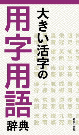 大きい活字の用字用語辞典