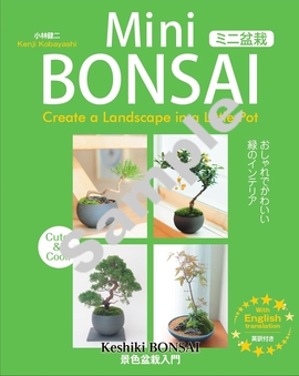 ミニ盆栽  おしゃれでかわいい緑のインテリア―景色盆栽入門
