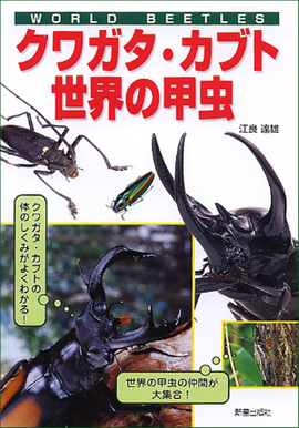 クワガタ・カブト・世界の甲虫