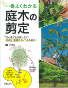 一番よくわかる 庭木の剪定 初心者でも失敗しない、切り方・管理のポイントを紹介！