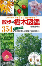 この木なんの木？ がひと目でわかる！ 散歩の樹木図鑑