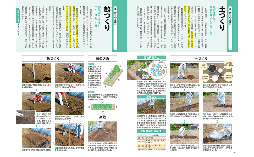 はじめての野菜づくり図鑑110種／北条雅章 著 | 新星出版社