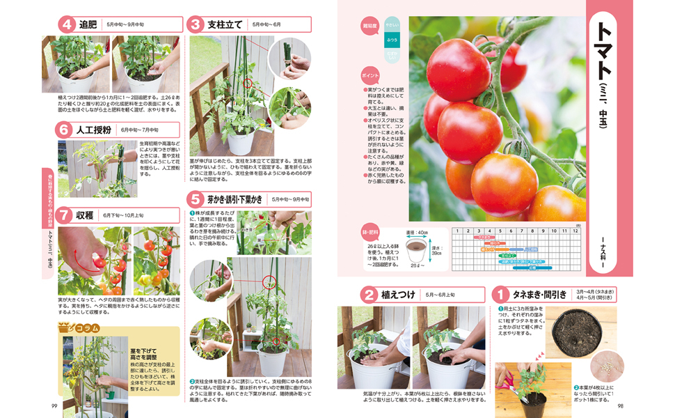 はじめてのコンテナ野菜づくり図鑑90種／北条雅章 著 | 新星出版社