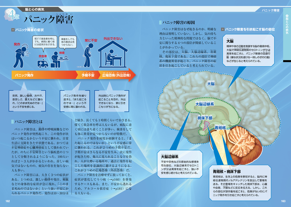 大人のための図鑑 脳と心のしくみ／池谷裕二 監修 | 新星出版社