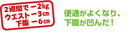 便通がよくなり、下腹が凹んだ！